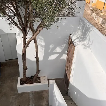 Oliveira Brava * Pera
