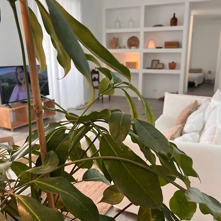 Oliveira Brava Holiday home *